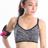 Sports Bra - Women Fitness Yoga Sports Bra Padded Wire Free Shake Proof Push Up Seamless - Blissful Delirium