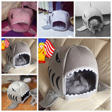 Shark Pet House - Blissful Delirium